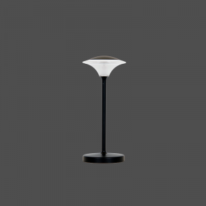 Enton LED Portable Table Light #ETI0251 gallery view 2 for wholesale LED lighting projects